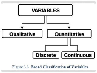 Basic Terms in Statistics