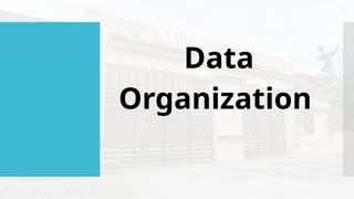 Data
Organization
 