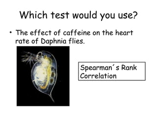 Which test would you use?
• The effect of caffeine on the heart
rate of Daphnia flies.
Spearman´s Rank
Correlation
 