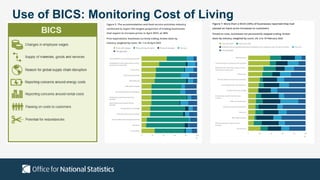 Use of BICS: Monitoring Cost of Living
 