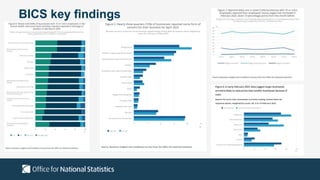 BICS key findings
 